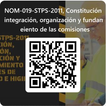 QR 019